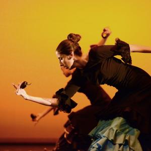Fotografía de Muestra de Danza de los Talleres de Oscar Quero - Oscar Quero