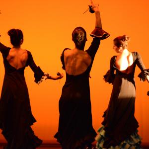 Fotografía de Muestra de Danza de los Talleres de Oscar Quero - Oscar Quero
