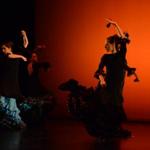 Fotografía de Muestra de Danza de los Talleres de Oscar Quero - Oscar Quero