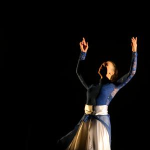 Fotografía de Muestra de Danza de los Talleres de Oscar Quero - Oscar Quero