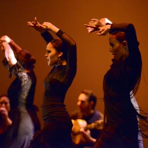 Fotografía de Muestra de Danza de los Talleres de Oscar Quero - Oscar Quero