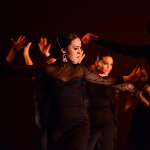 Fotografía de Muestra de Danza de los Talleres de Oscar Quero - Oscar Quero