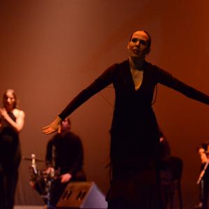 Fotografía de Muestra de Danza de los Talleres de Oscar Quero - Oscar Quero