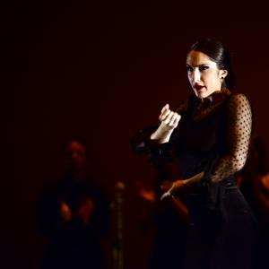 Fotografía de Muestra de Danza de los Talleres de Oscar Quero - Oscar Quero