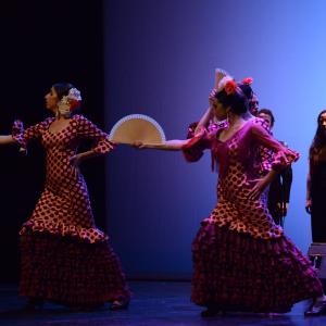 Fotografía de Muestra de Danza de los Talleres de Oscar Quero - Oscar Quero