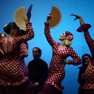 Fotografía de Muestra de Danza de los Talleres de Oscar Quero - Oscar Quero