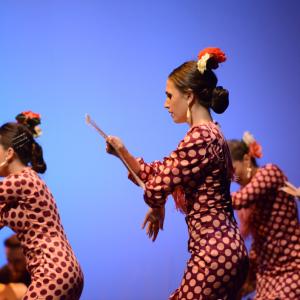 Fotografía de Muestra de Danza de los Talleres de Oscar Quero - Oscar Quero