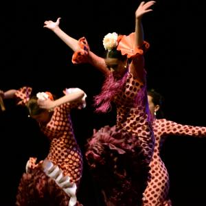 Fotografía de Muestra de Danza de los Talleres de Oscar Quero - Oscar Quero
