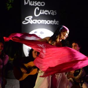 Fotografía de Anlage Fusión en el Sacromonte - Anlage Fusión