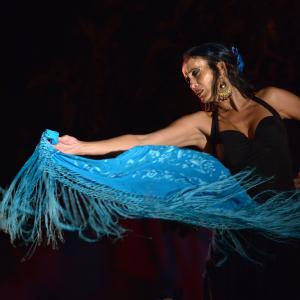 Fotografía de Anlage Fusión en el Sacromonte - Anlage Fusión
