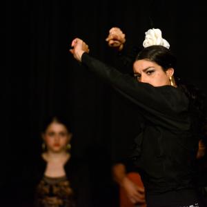 Fotografía de Flamenco en compañía - Compañía Flamenca Noemí Álvarez