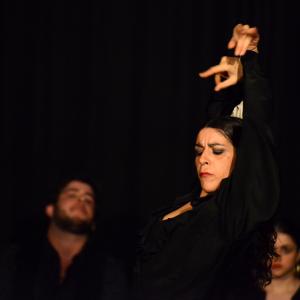 Fotografía de Flamenco en compañía - Compañía Flamenca Noemí Álvarez