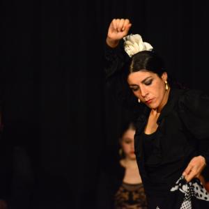 Fotografía de Flamenco en compañía - Compañía Flamenca Noemí Álvarez