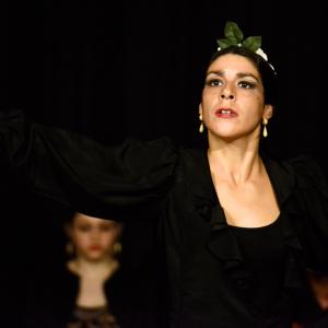 Fotografía de Flamenco en compañía - Compañía Flamenca Noemí Álvarez