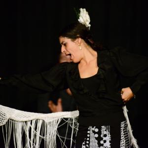 Fotografía de Flamenco en compañía - Compañía Flamenca Noemí Álvarez