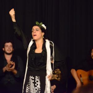 Fotografía de Flamenco en compañía - Compañía Flamenca Noemí Álvarez
