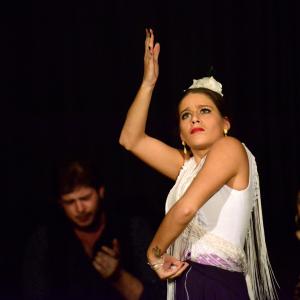 Fotografía de Flamenco en compañía - Compañía Flamenca Noemí Álvarez