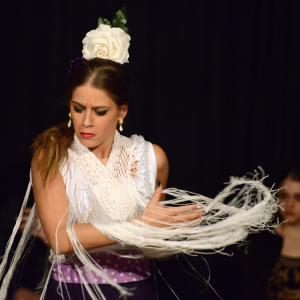 Fotografía de Flamenco en compañía - Compañía Flamenca Noemí Álvarez