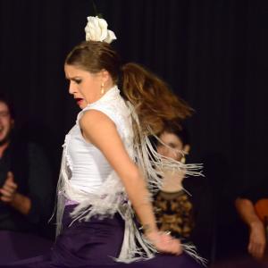 Fotografía de Flamenco en compañía - Compañía Flamenca Noemí Álvarez