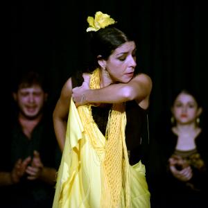 Fotografía de Flamenco en compañía - Compañía Flamenca Noemí Álvarez