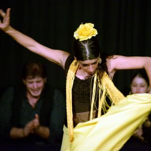 Fotografía de Flamenco en compañía - Compañía Flamenca Noemí Álvarez