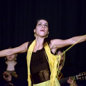Fotografía de Flamenco en compañía - Compañía Flamenca Noemí Álvarez