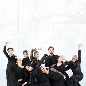 Fotografía de Proyecto flamenco (promoción) - Proyecto Flamenco