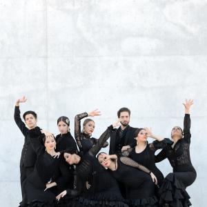 Fotografía de Proyecto flamenco (promoción) - Proyecto Flamenco