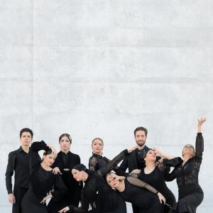 Fotografía de Proyecto flamenco (promoción) - Proyecto Flamenco