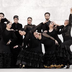 Fotografía de Proyecto flamenco (promoción) - Proyecto Flamenco