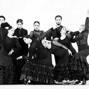 Fotografía de Proyecto flamenco (promoción) - Proyecto Flamenco