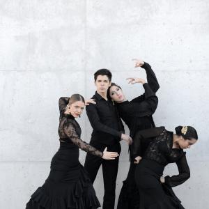 Fotografía de Proyecto flamenco (promoción) - Proyecto Flamenco