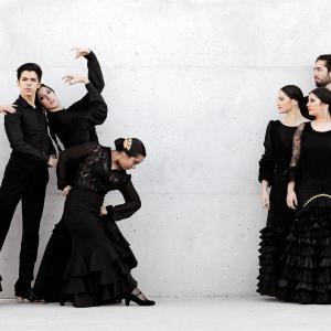 Fotografía de Proyecto flamenco (promoción) - Proyecto Flamenco