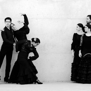 Fotografía de Proyecto flamenco (promoción) - Proyecto Flamenco