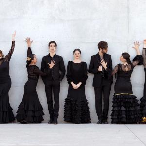 Fotografía de Proyecto flamenco (promoción) - Proyecto Flamenco