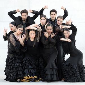 Fotografía de Proyecto flamenco (promoción) - Proyecto Flamenco