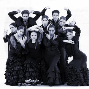 Fotografía de Proyecto flamenco (promoción) - Proyecto Flamenco