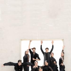 Fotografía de Proyecto flamenco (promoción) - Proyecto Flamenco