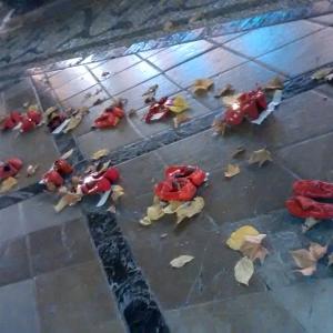 Fotografía de Zapatos rojos - 