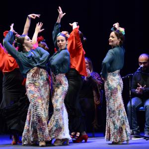 Fotografía de Muestra de Danza, Duende y Compás - Duende y compás
