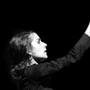 Fotografía de Dionisos: Exposición de fotos de Teatro, danza y circo en Granada - 