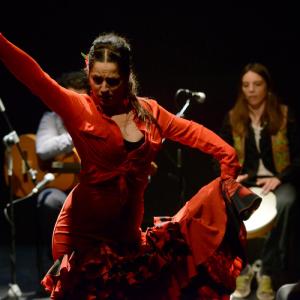 Fotografía de Nomeloesperaba: Al sabor de la manzana - 