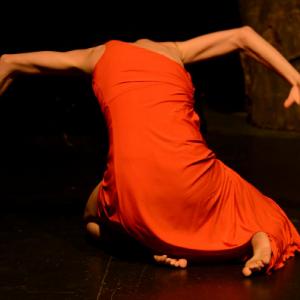 Fotografía de Tanz Teatro: Canción más que ingenua - Granada Tanz Teatro