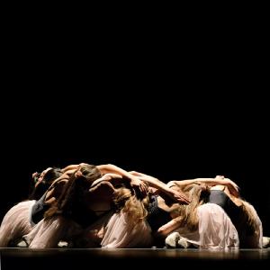 Fotografía de Concurso coreografías 2014. Nivel I - Conservatorio de Danza
