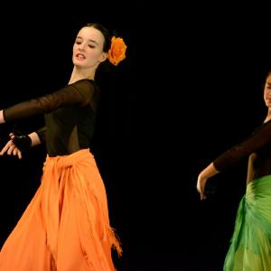 Fotografía de Concurso coreografías 2014. Nivel I - Conservatorio de Danza