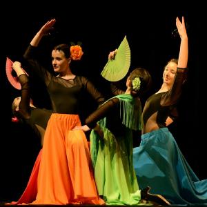 Fotografía de Concurso coreografías 2014. Nivel I - Conservatorio de Danza