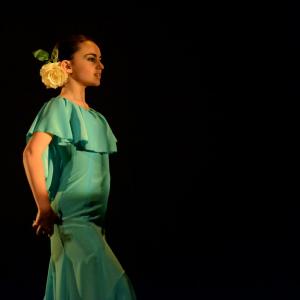 Fotografía de Concurso coreografías 2014. Nivel I - Conservatorio de Danza