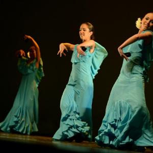 Fotografía de Concurso coreografías 2014. Nivel I - Conservatorio de Danza