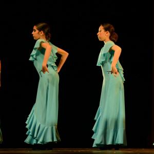 Fotografía de Concurso coreografías 2014. Nivel I - Conservatorio de Danza