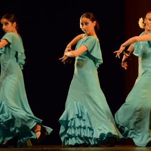 Fotografía de Concurso coreografías 2014. Nivel I - Conservatorio de Danza